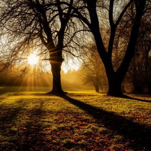 Кояш белән Күләгә