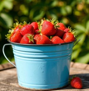 Җәй тәме ул – җиләк