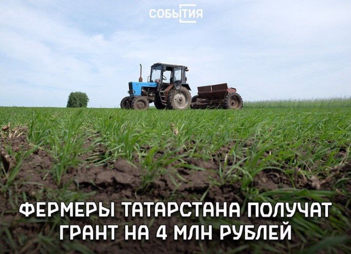 Татарстан фермерларына дүрт миллион сум грант бирелергә мөмкин