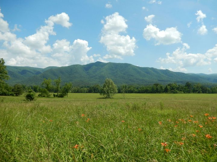 Умырзая төсе кырларда