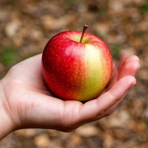 Без хушлашкан урын...