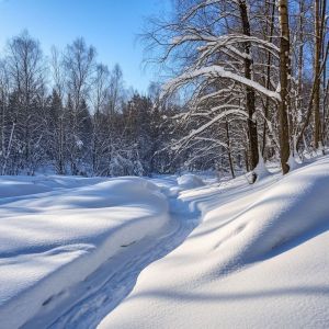 Буран тоткыннары (хикәя)