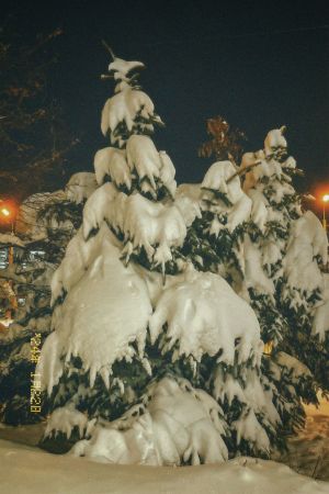 Пар имәннәр