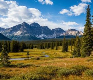 Дөньялар имин булсын