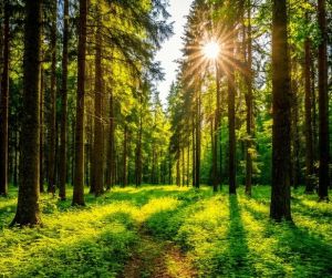 Әти. Әни. (Көндәлекләрдән) Дәвамы.