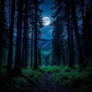 Кара төннең карасында (хикәя)