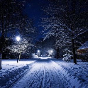 Кыш сафлыгы