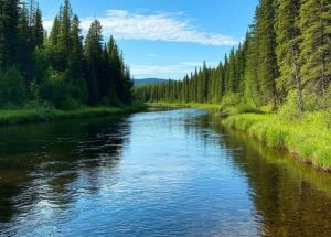 Йөзә торган арба (бәян)