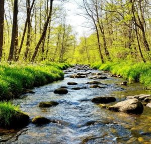 Язларда да моң-сагыш бар