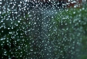 Тукай булса...