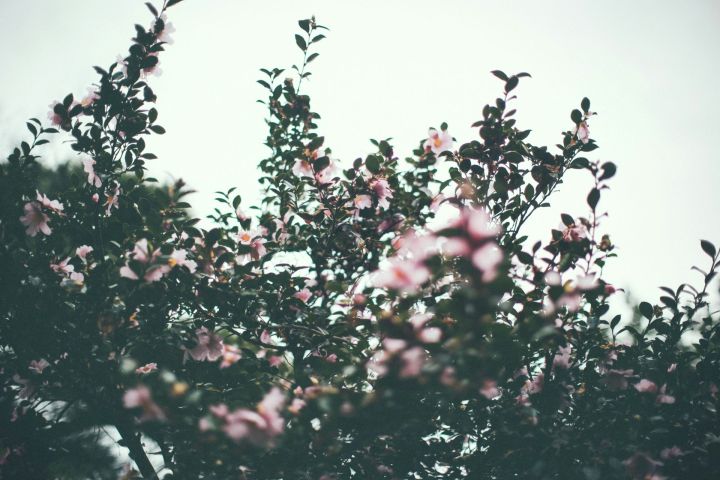 Эзләнү