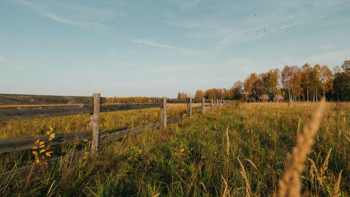 Серле күчеш