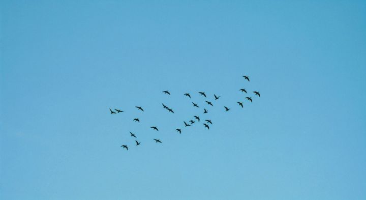 Кәгазь очкыч