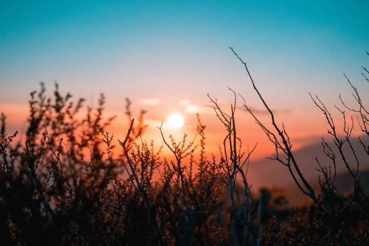 Ике генә сәбәп була ала